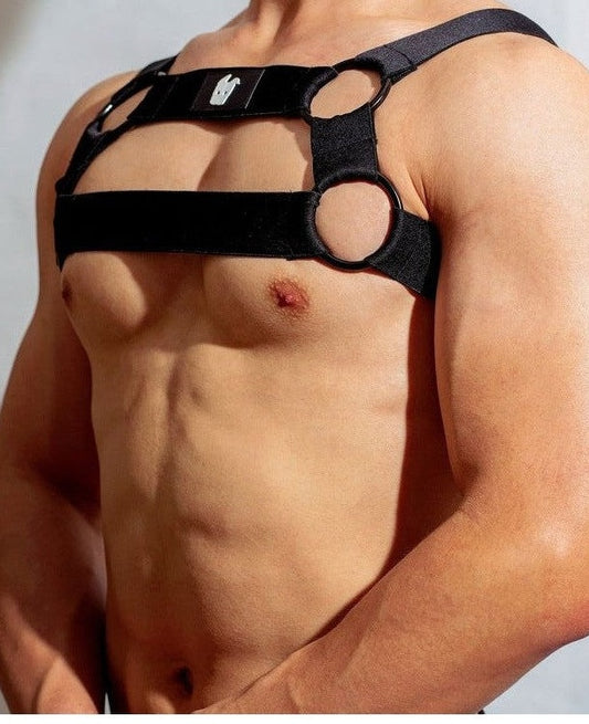 【DM】 愛家犬胸帶 Fur the Harness 2