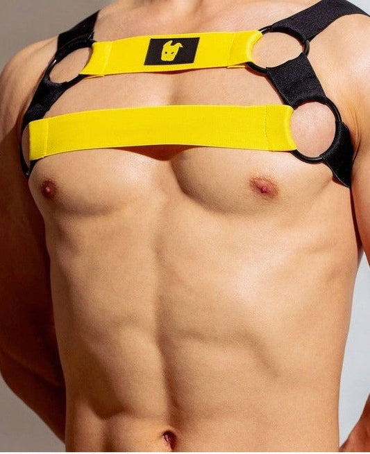 【DM】 愛家犬胸帶 Fur the Harness 3